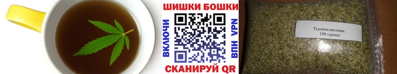 Cannafood марихуана  Нововоронеж 