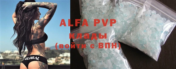 дживик Инта