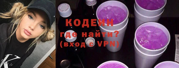 дживик Инта