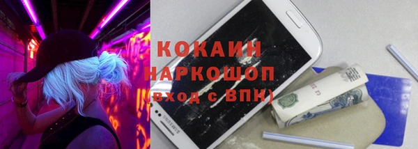 дживик Инта
