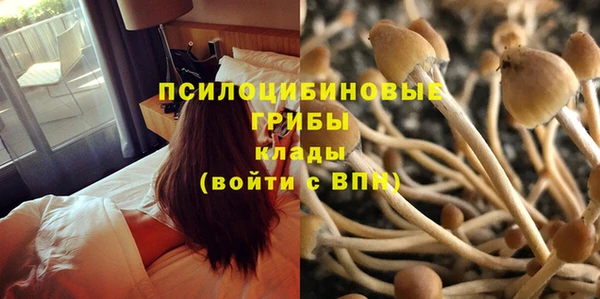 прущая мука Инсар