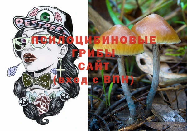 дживик Инта