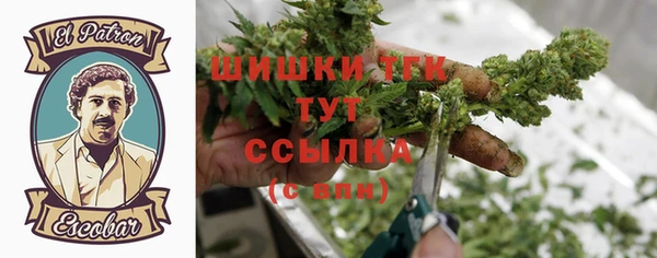 герыч Каменногорск