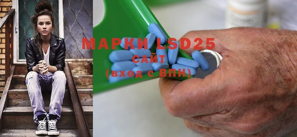 прущая мука Инсар