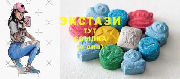дживик Инта