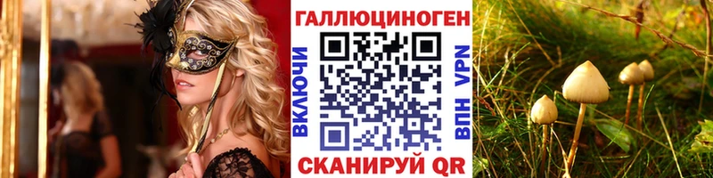 наркота  Нововоронеж  Псилоцибиновые грибы GOLDEN TEACHER 