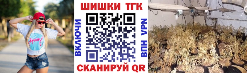 Марихуана планчик  где можно купить наркотик  Нововоронеж 