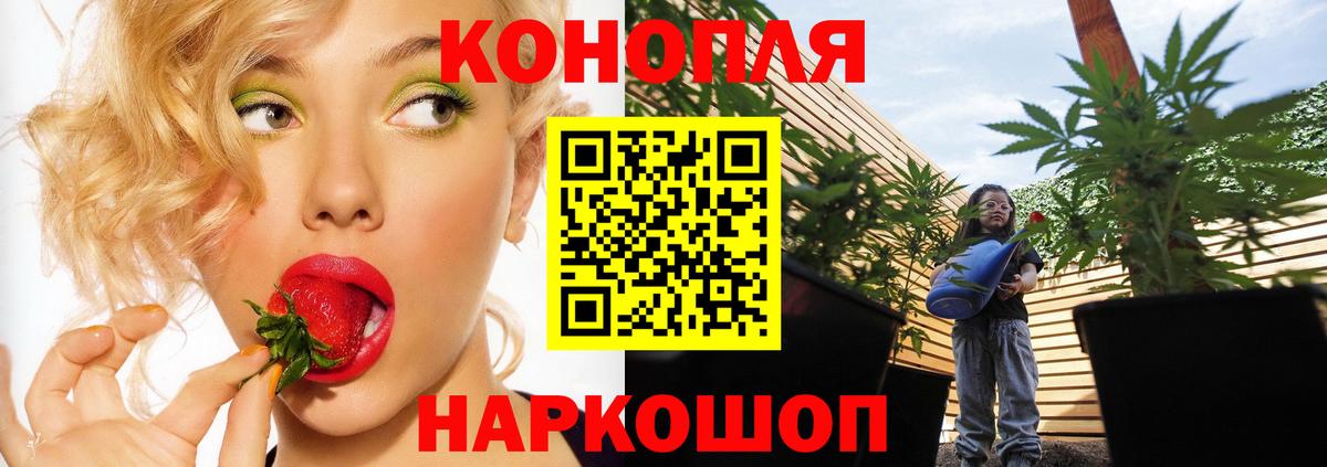Нововоронеж  Конопля план  Вход с VPN  Каннабис White Widow  Бошки Шишки марихуана 